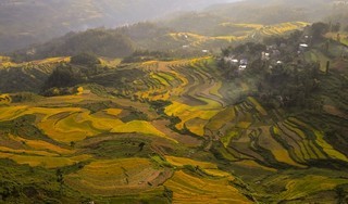 立足山区环境资源优势 推动山区特色农业现代化