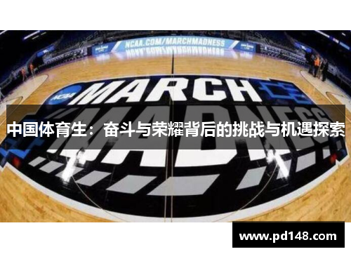 中国体育生：奋斗与荣耀背后的挑战与机遇探索