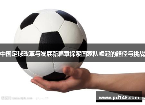中国足球改革与发展新篇章探索国家队崛起的路径与挑战