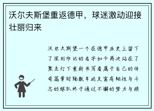 沃尔夫斯堡重返德甲，球迷激动迎接壮丽归来